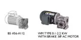 Hollow shaft worm gear